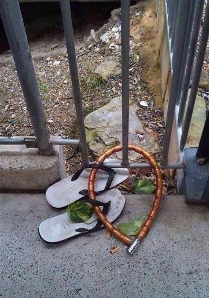 Bó tay với loạt hành động ngớ ngẩn mà con người nghĩ ra, Mr Bean cũng xin thua - 1