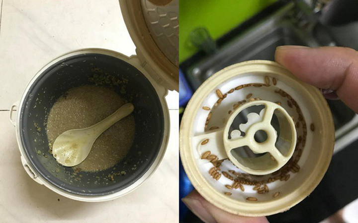 Lỡ mở nồi cơm nhà bạn gái, suýt ngất vì thứ được ‘nấu’ trong nồi 2 tháng qua - 2