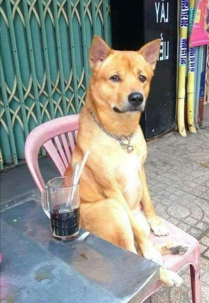 Loạt ảnh chất lượng thấp nhưng tấu hài chất lượng cao, đánh tan cuối tuần ảm đạm - 1