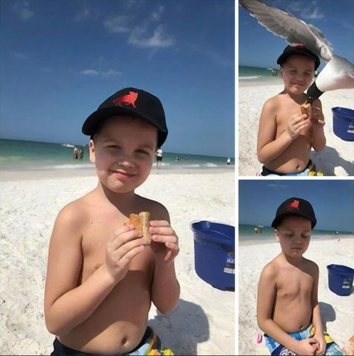 Loạt ảnh chất lượng thấp nhưng tấu hài chất lượng cao, đánh tan cuối tuần ảm đạm - 6