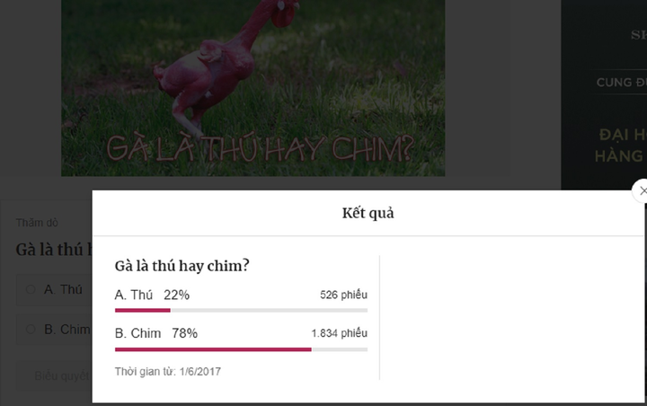 Câu hỏi ngớ ngẩn 'Gà là thú hay chim' nhận nhiều đáp án sốc - 2