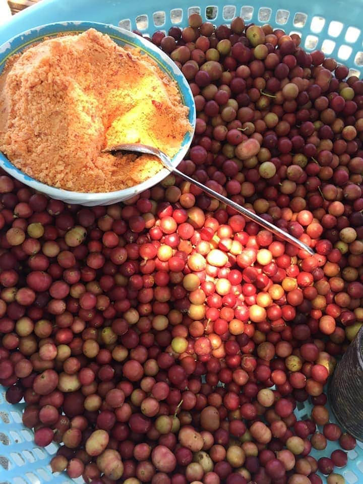 Trái da đá - đặc sản độc nhất vô nhị, muốn ăn phải tìm đến Ninh Thuận mới có - 4