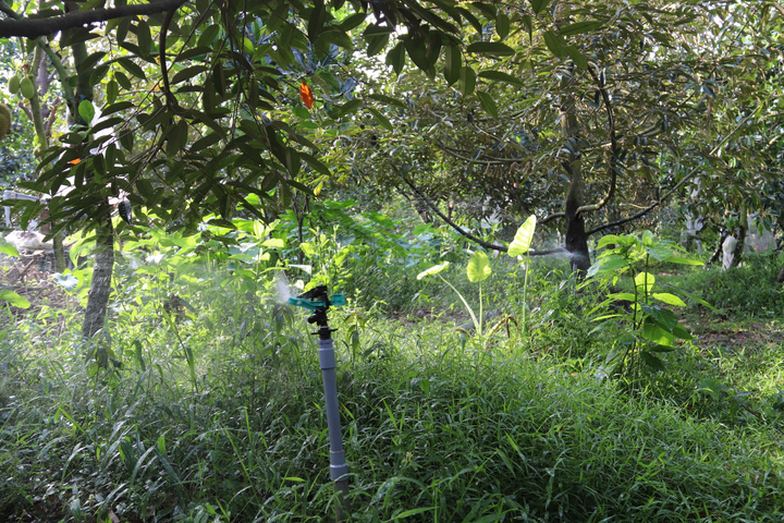 Nông dân Việt thời 4.0: Ngồi ở nước ngoài vẫn có thể tự tưới cây trong vườn - 1