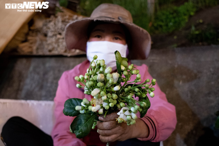 Ảnh: Những 'bông hồng' thầm lặng mưu sinh trên phố Hà Nội dịp 8/3 - 11