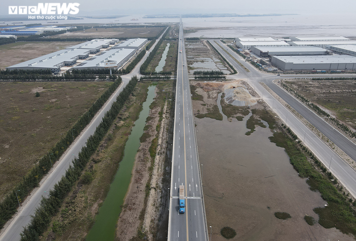 Ảnh: Ao tù khổng lồ bên cánh rừng phòng hộ chết khô ở Hải Phòng - 11