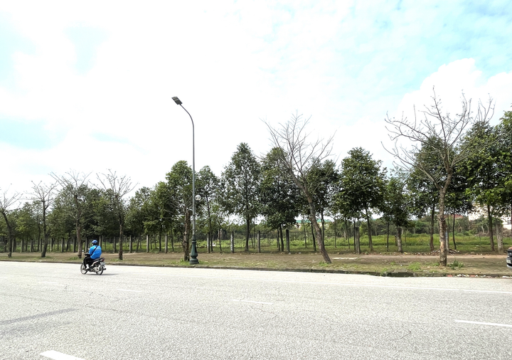 Ảnh: Dự án 'ôm' đất vàng ở TP Vinh, bỏ hoang 12 năm vẫn không bị thu hồi - 8