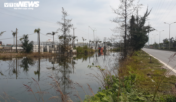 Ảnh: Ao tù khổng lồ bên cánh rừng phòng hộ chết khô ở Hải Phòng - 2