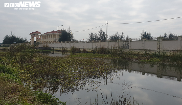 Ảnh: Ao tù khổng lồ bên cánh rừng phòng hộ chết khô ở Hải Phòng - 4
