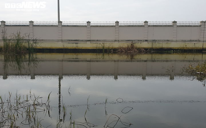 Ảnh: Ao tù khổng lồ bên cánh rừng phòng hộ chết khô ở Hải Phòng - 5