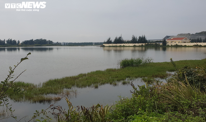 Ảnh: Ao tù khổng lồ bên cánh rừng phòng hộ chết khô ở Hải Phòng - 6