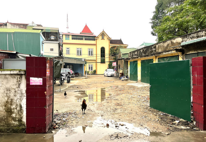 Ảnh: Dự án 'ôm' đất vàng ở TP Vinh, bỏ hoang 12 năm vẫn không bị thu hồi - 6