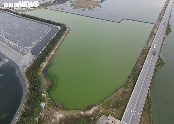 Ảnh: Ao tù khổng lồ bên cánh rừng phòng hộ chết khô ở Hải Phòng - 8