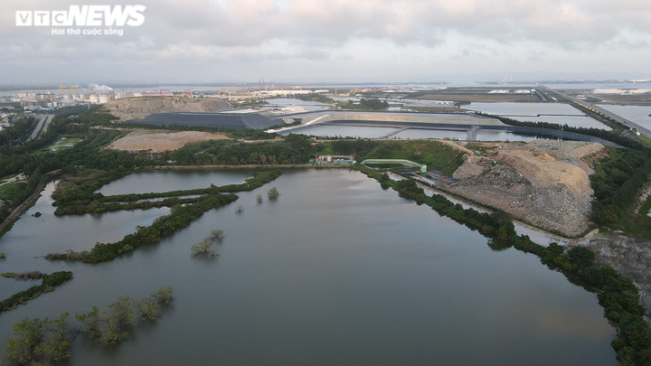 Ảnh: Ao tù khổng lồ bên cánh rừng phòng hộ chết khô ở Hải Phòng - 14