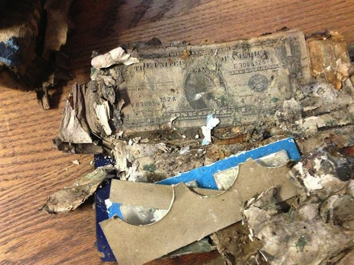 Dọn nhà để bán, anh chàng không dám tin khi phát hiện thứ nằm dưới tấm thảm cũ - 6