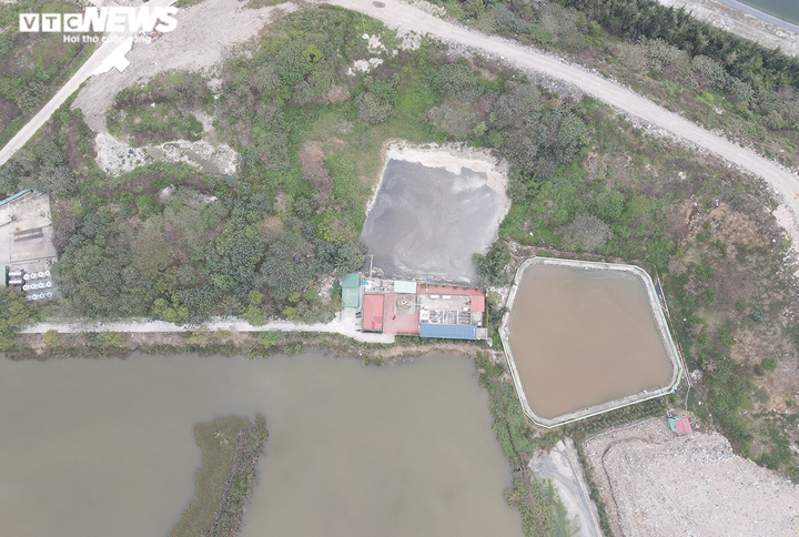 Cánh rừng phòng hộ chết khô ở Hải Phòng: UBND Thành phố chỉ đạo kiểm tra, xử lý - 3