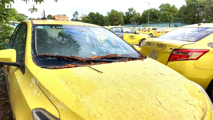 Xăng dầu đắt kỷ lục, doanh nghiệp vận tải kiệt quệ chưa từng thấy - 3