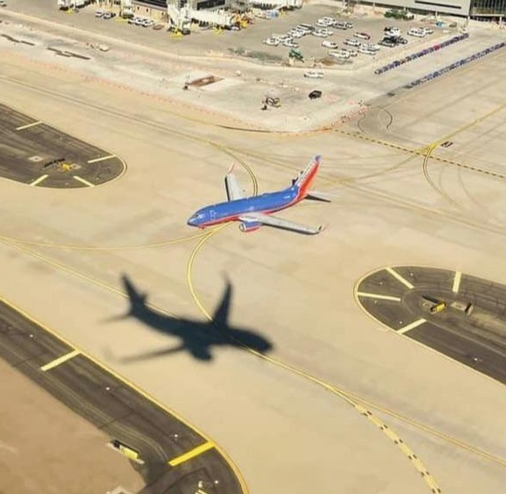 Những bức ảnh 'ảo tung chảo' đến mức căng mắt vẫn không nhìn ra được sự thật - 10