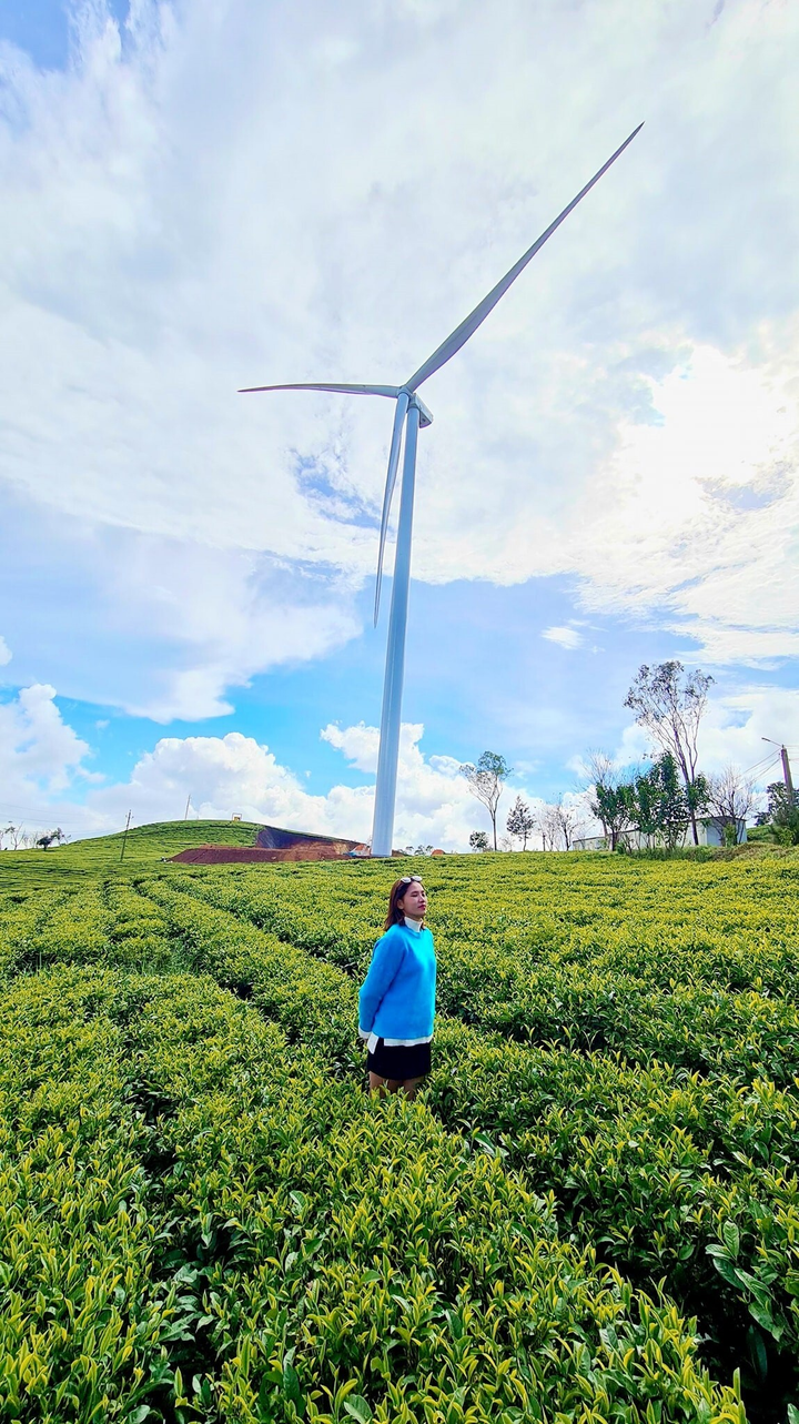 Phát hiện tọa độ lên hình cực thơ ở Đà Lạt với những cánh quạt gió khổng lồ - 4