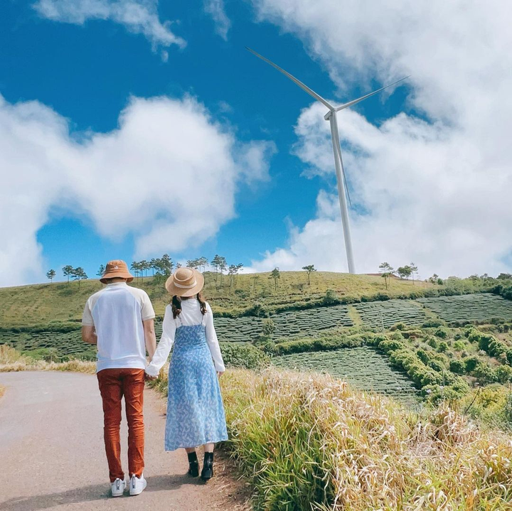 Phát hiện tọa độ lên hình cực thơ ở Đà Lạt với những cánh quạt gió khổng lồ - 8