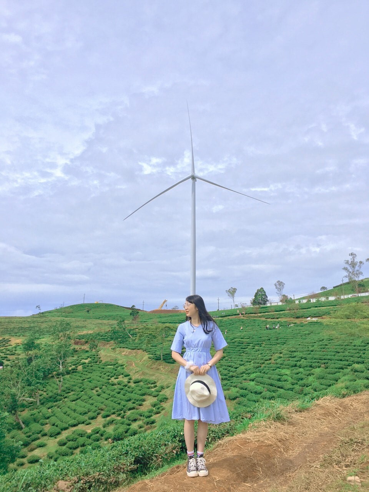 Phát hiện tọa độ lên hình cực thơ ở Đà Lạt với những cánh quạt gió khổng lồ - 5