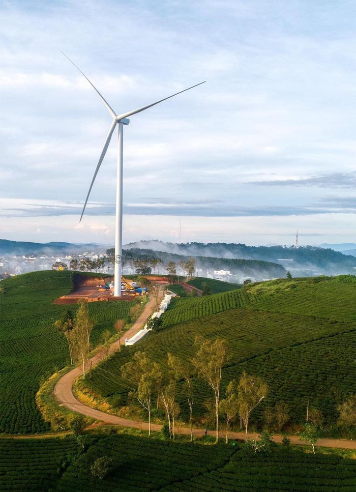 Phát hiện tọa độ lên hình cực thơ ở Đà Lạt với những cánh quạt gió khổng lồ - 3