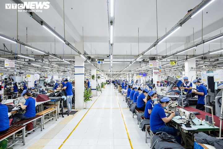 Những doanh nghiệp xuất khẩu sống khỏe giữa 'bão' COVID-19, xăng dầu - 2