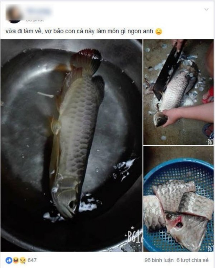 Xanh mặt nhìn các chị 'xử đẹp' chồng vì tội mê cá hơn vợ, cái nịt cũng không còn - 6