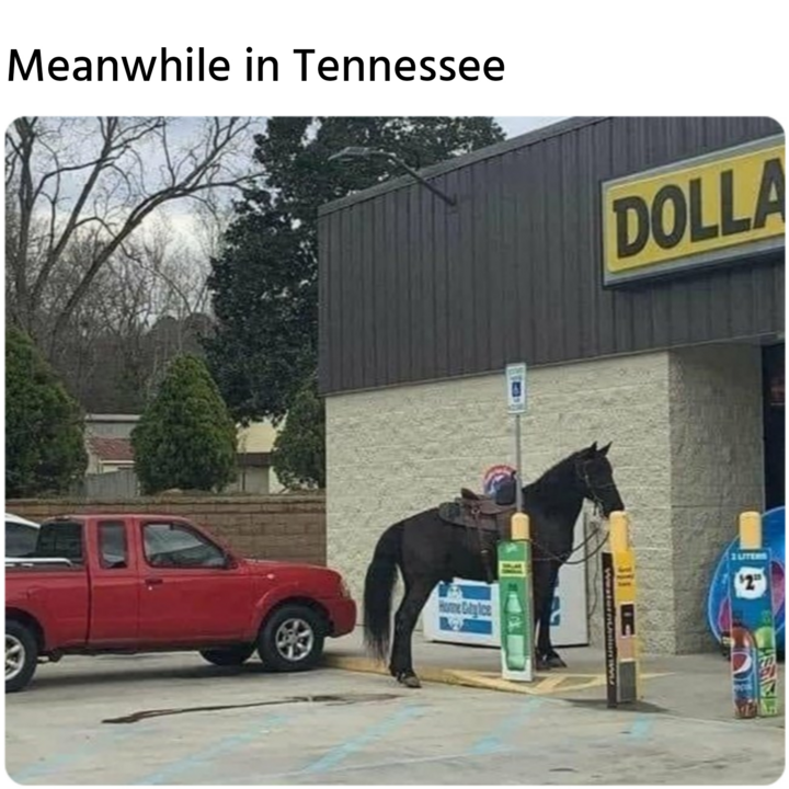 Xăng ‘đu đỉnh’, cạn lời với tuyệt kỹ ‘bắt đáy’ của dân tình khắp nơi - 8