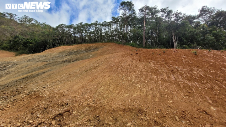 San ủi rừng quốc gia để làm đường: Đề nghị chuyển cơ quan điều tra - 2