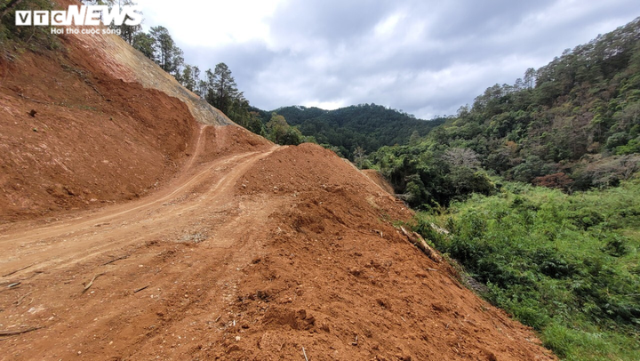San ủi rừng quốc gia để làm đường: Đề nghị chuyển cơ quan điều tra - 1