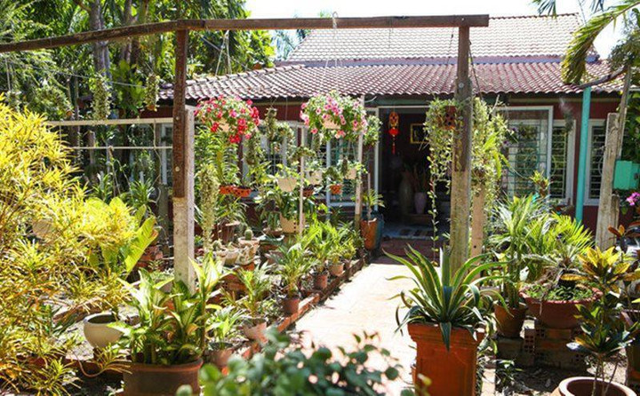 Vì sao mỹ nam làng nhạc Nguyễn Phi Hùng vẫn độc thân ở tuổi U50? - 3