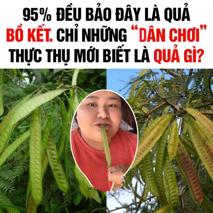 Đố vui: Quả này là quả gì? - 1