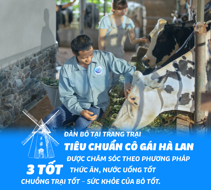 Bí quyết thành công của Cô Gái Hà Lan tại Việt Nam - 1