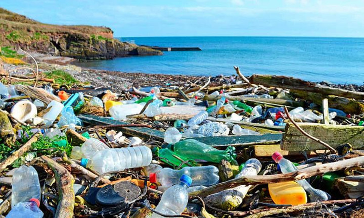 WWF bắt đầu đàm phán cho hiệp ước toàn cầu về ô nhiễm nhựa - 1