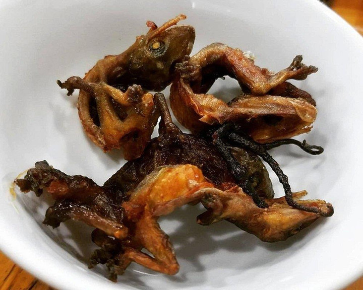 Người Tây Ninh lên núi câu thằn lằn, làm ra món đặc sản trứ danh vùng núi Bà Đen - 4