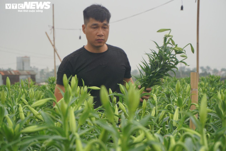 'Đặc sản tháng 3 của Hà Nội' đắt đỏ, khách vẫn tấp nập mua - 3