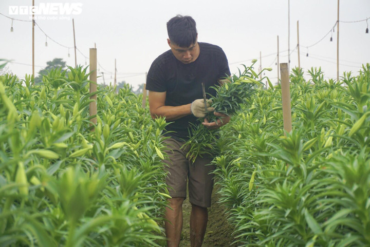 'Đặc sản tháng 3 của Hà Nội' đắt đỏ, khách vẫn tấp nập mua - 2