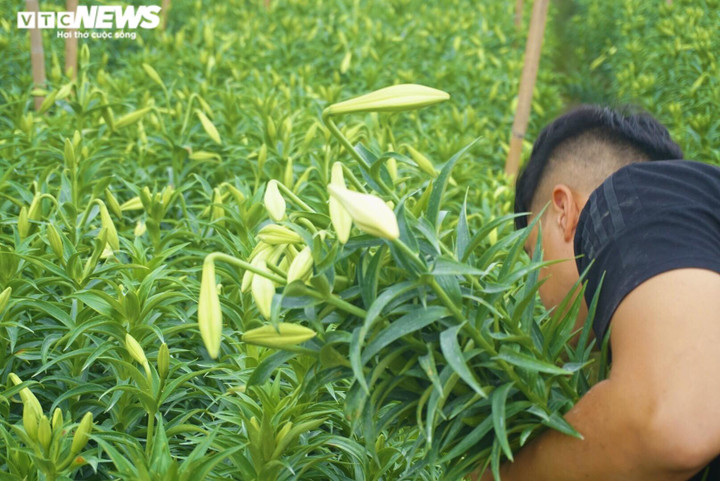 'Đặc sản tháng 3 của Hà Nội' đắt đỏ, khách vẫn tấp nập mua - 4