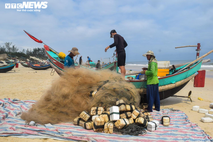 Ảnh: Ngư dân Quảng Bình ‘than dài’ dù trúng đậm ruốc biển, cá trích - 7
