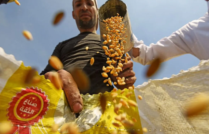 Người dân Trung Đông đổ xô tích trữ hàng hóa - 2