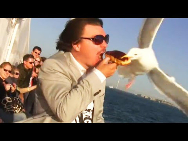 Dở khóc dở cười mua thú cưng về nuôi ai ngờ rước nhầm 'đạo chích' thứ thiệt - 10