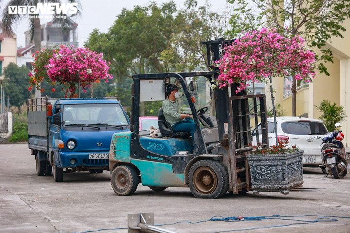 Ảnh: Nhà thi đấu ở ngoại thành Hà Nội 'chạy nước rút' chuẩn bị đón SEA Games 31 - 8