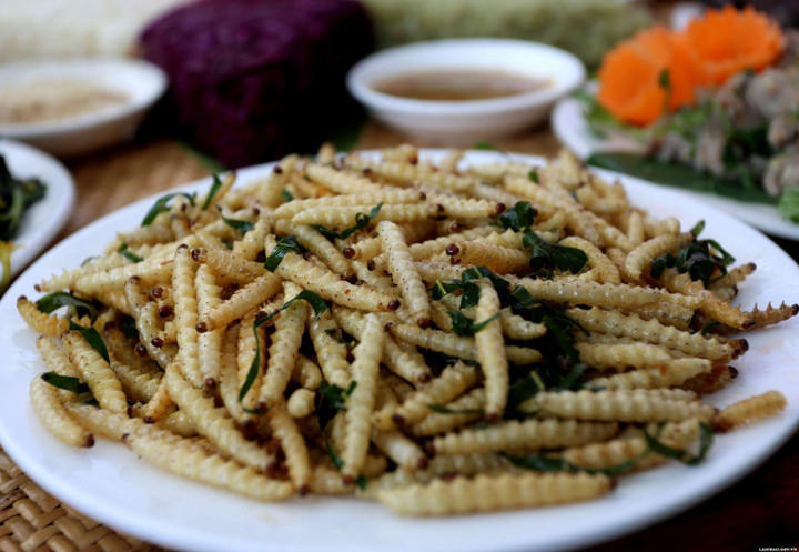 Loại sâu ở Việt Nam được ví như đông trùng hạ thảo, giá đắt đỏ vẫn đầy người mua - 4