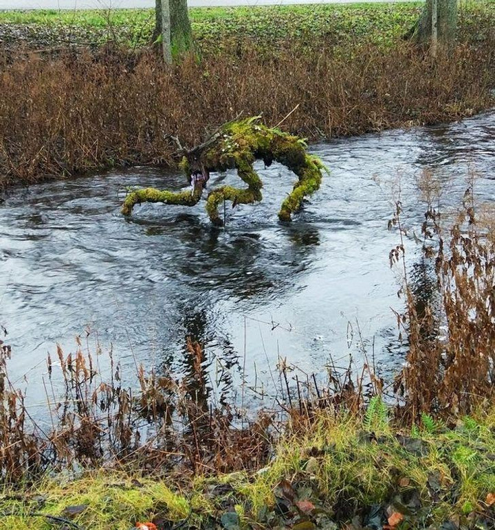 Loạt ảnh gây hoang mang cực mạnh vì nhìn vào không hiểu đang xem cái gì - 4