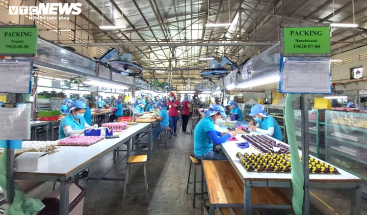 'Cơn khát' lao động tại các doanh nghiệp sản xuất - 1