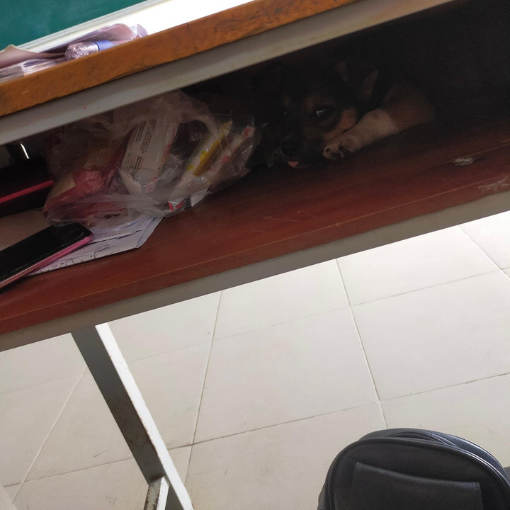 Tìm ra bí mật dưới hộc bàn nam sinh, cô giáo sững sờ 'chưa thấy vụ nào như này’ - 3