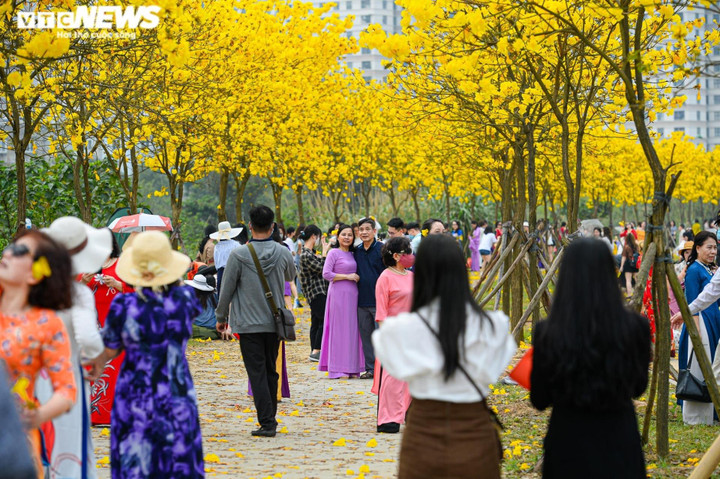Hà Nội: Đường hoa phong linh dừng đón khách, nhiều người ngậm ngùi quay về - 1
