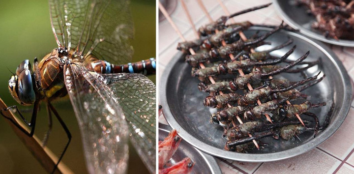 Chuồn chuồn rán giòn, tiết canh rắn và những món kì lạ của đất nước Indonesia - 1