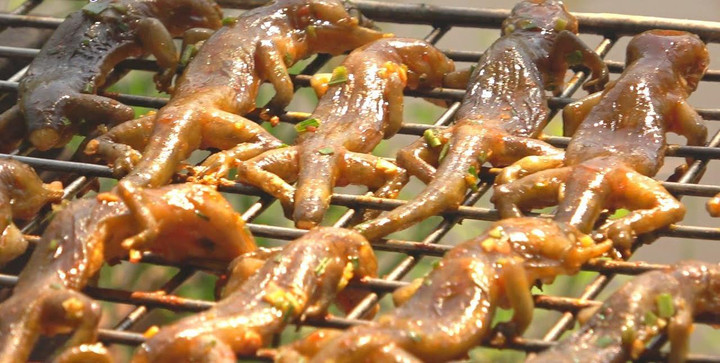 Chuồn chuồn rán giòn, tiết canh rắn và những món kì lạ của đất nước Indonesia - 3