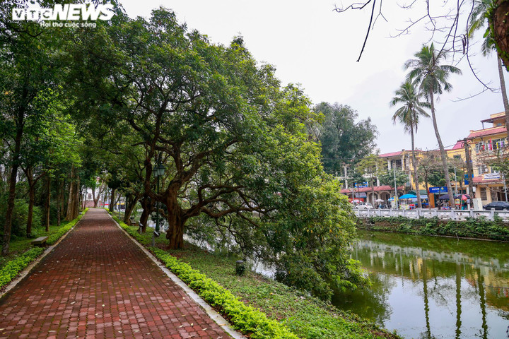 Ngắm tuyến phố đi bộ thứ 4 ở Hà Nội quanh Thành cổ Sơn Tây - 8